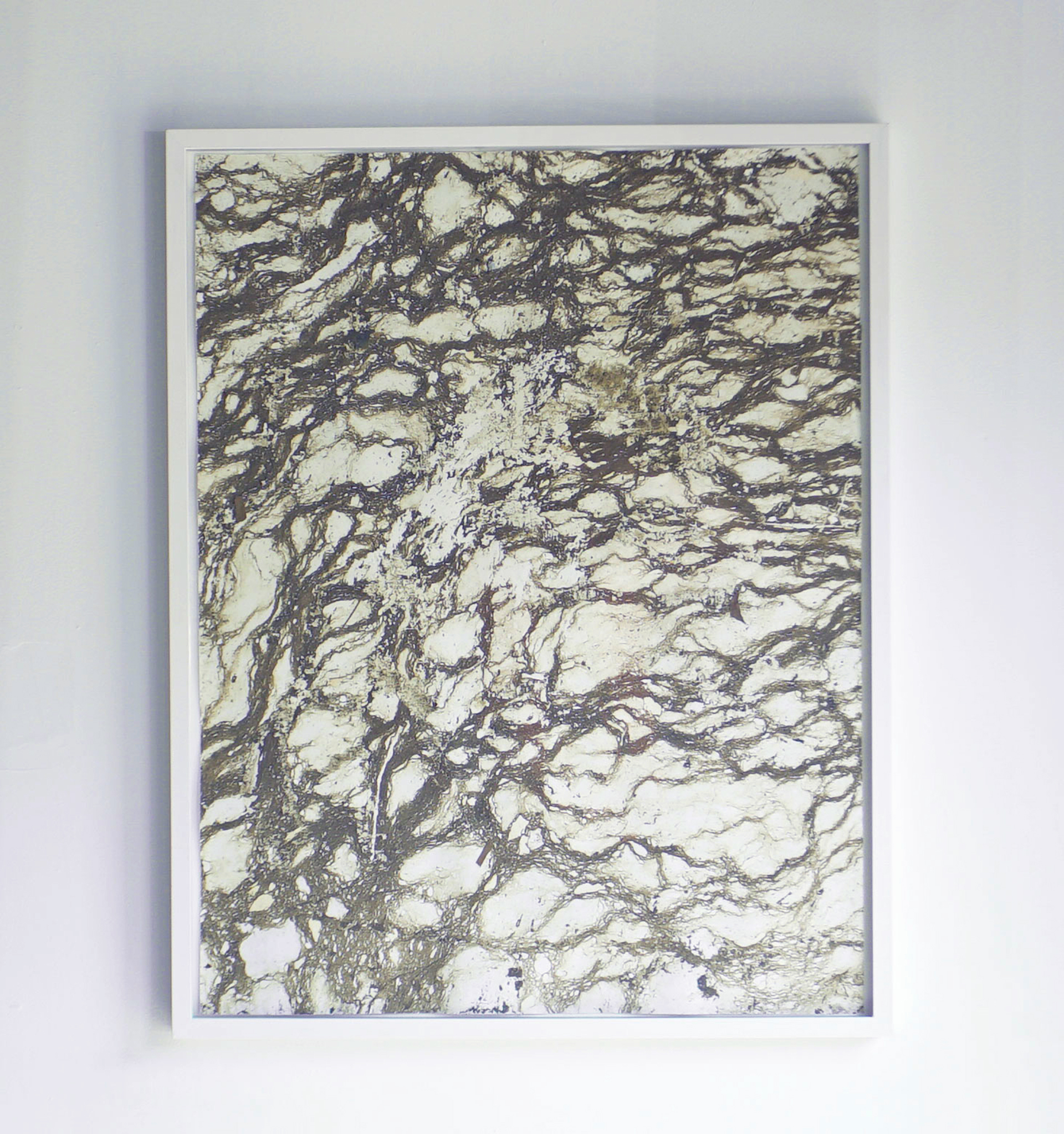 A print evoking algae or seaweed created from the residue of water surface pollution and detritus