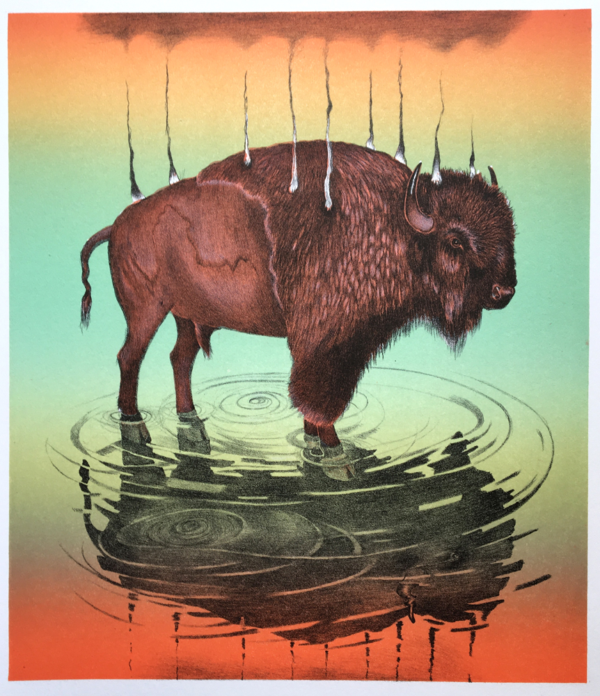 A smoldering bison stands in a shallow pool with a itself reflected on the surface