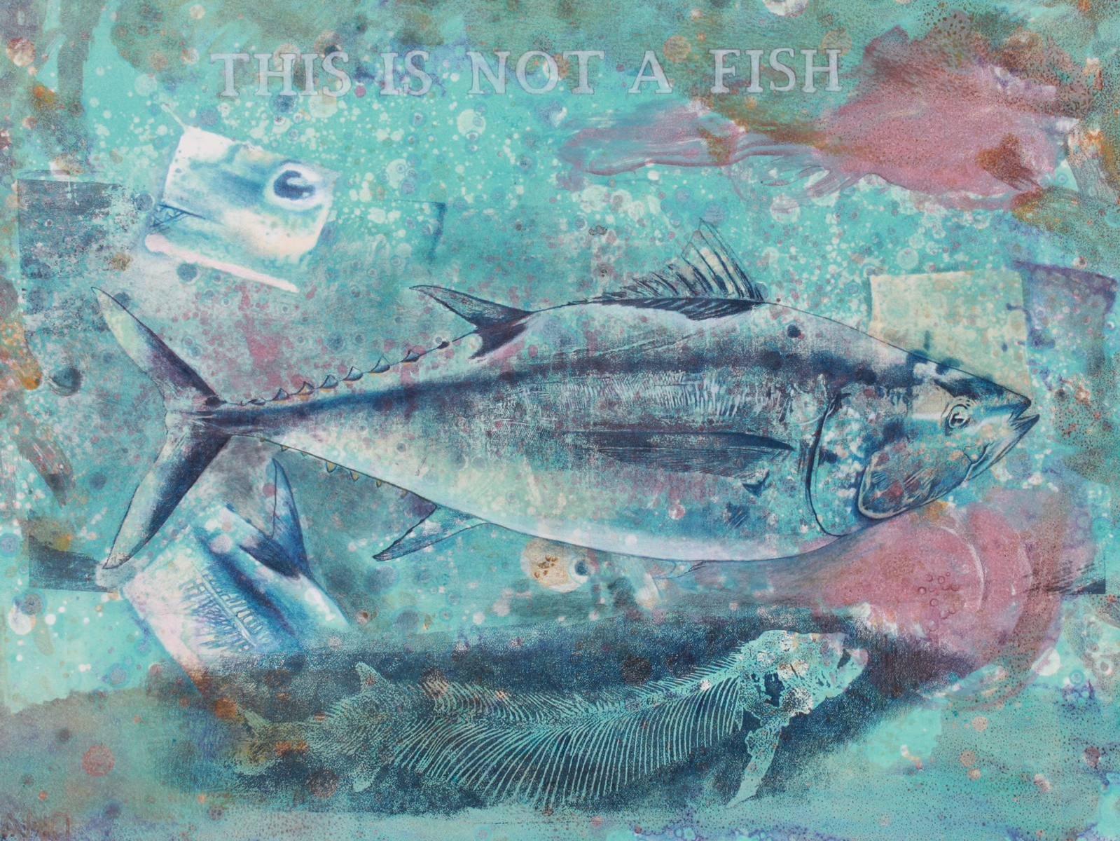 A finely drawn bluefin tuna is at the center of a monoprint filled with dense textures, text, and imagery