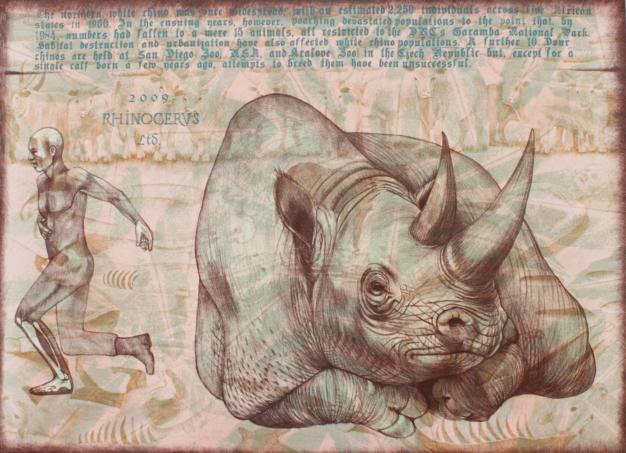 A white rhino lays in the foreground accompanied by a running human figure flayed in places to resemble an anatomical drawing. Text, in a typeface alluding to Dürer's Rhinoceros (1515) discusses the plight of the white rhino in the modern age