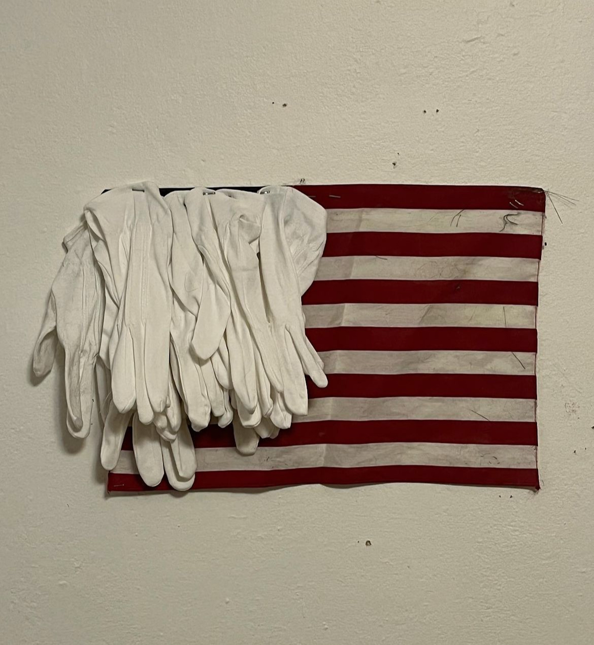They Don't Want to See These Hands, American Flag, White cloth gloves, 10x16in, 2022