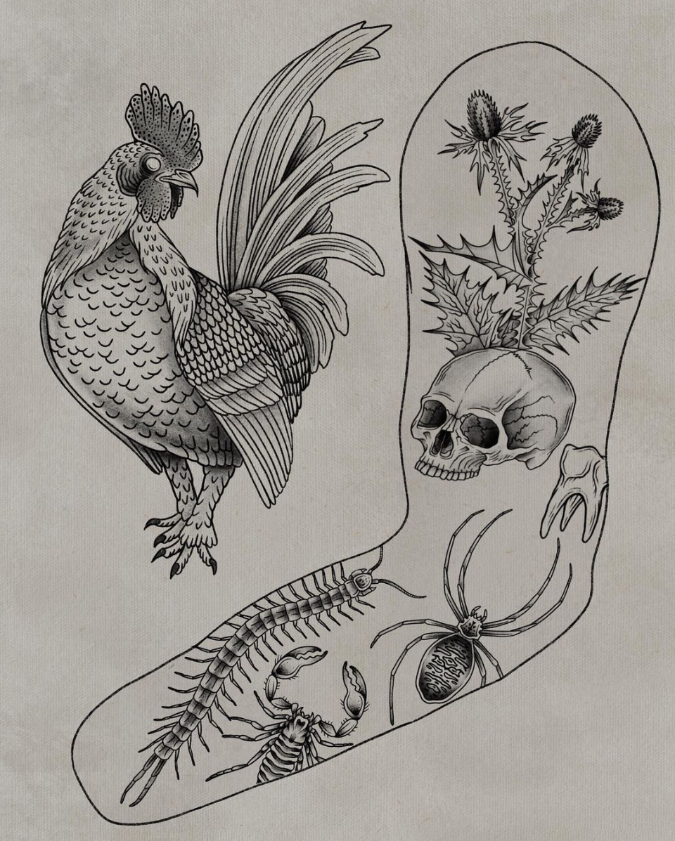 A diagrammatic arm is covered with floral and bug tattoo flash. A rooster design is to the left of the arm.