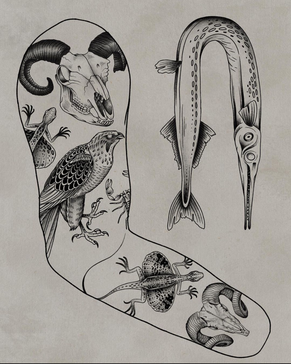 A flash sheet of a diagrammatic arm covered with animal tattoo flash. An alligator gar design flanks the arm.