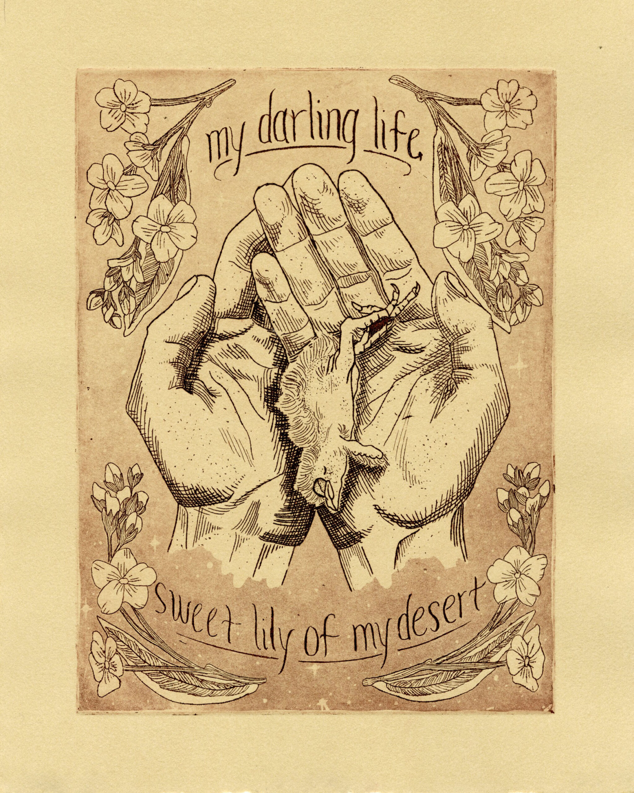 A dead baby bird lays in cupped hands surrounded by flowers and the text "My darling life, sweet lily of my desert"