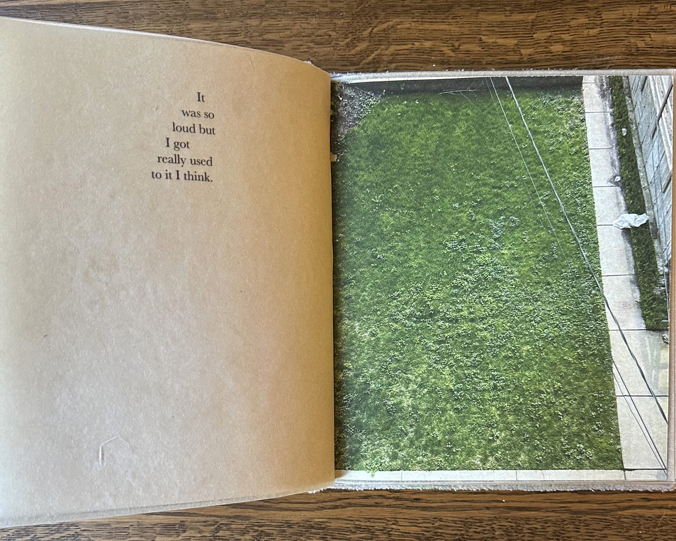 An open page of a book, on the right, an image taken from above of a green backyard with two power lines stretching over it. On the left, a page of tan transparent paper speckled with string. In the top middle of this page, printed text reads: “It was so loud but I got really used to it I think”