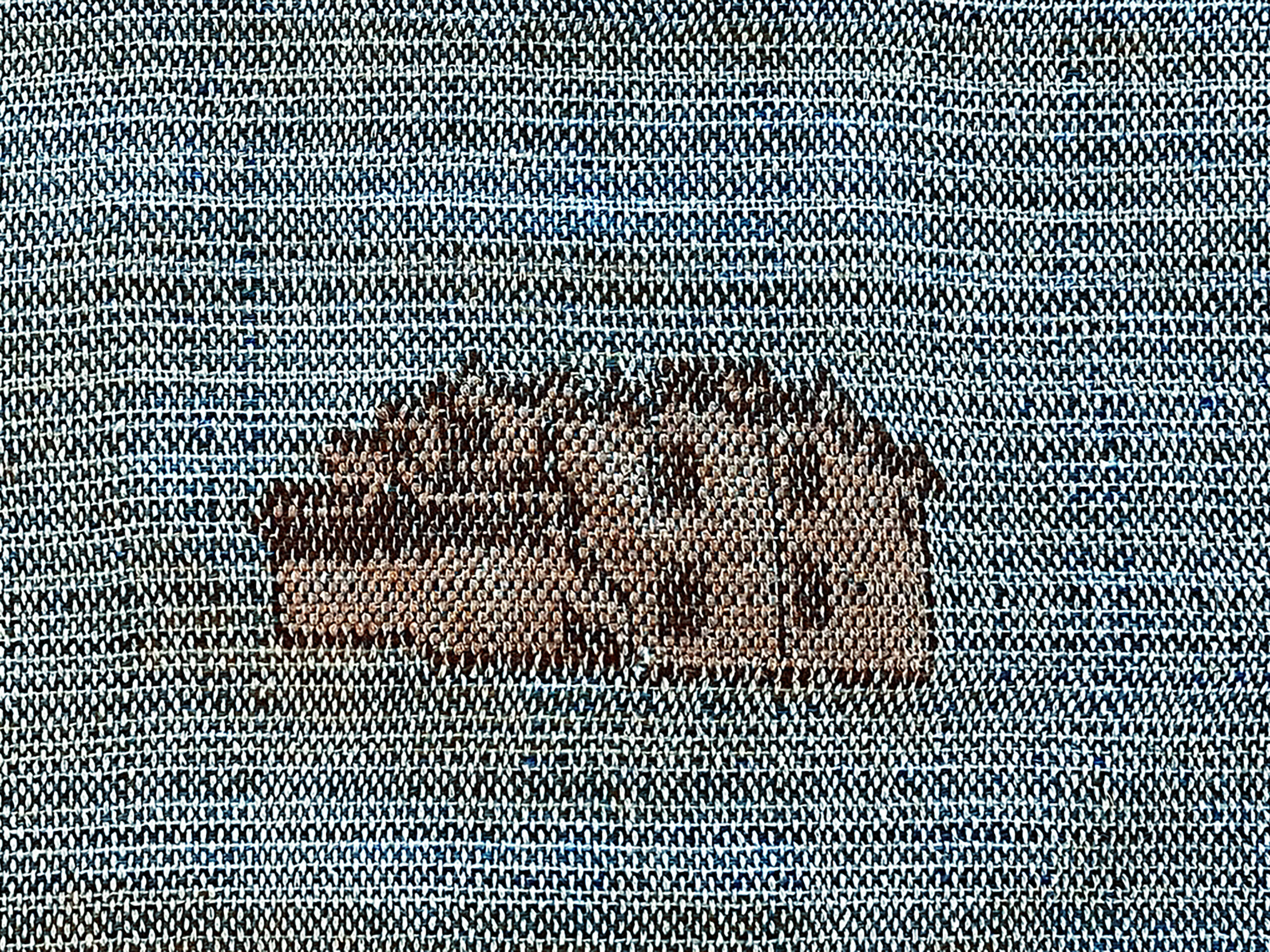 Threads of various blue hues woven together into a rectangle. In the middle of the woven rectangle is a woven image of a light brown and dark brown two-story home.