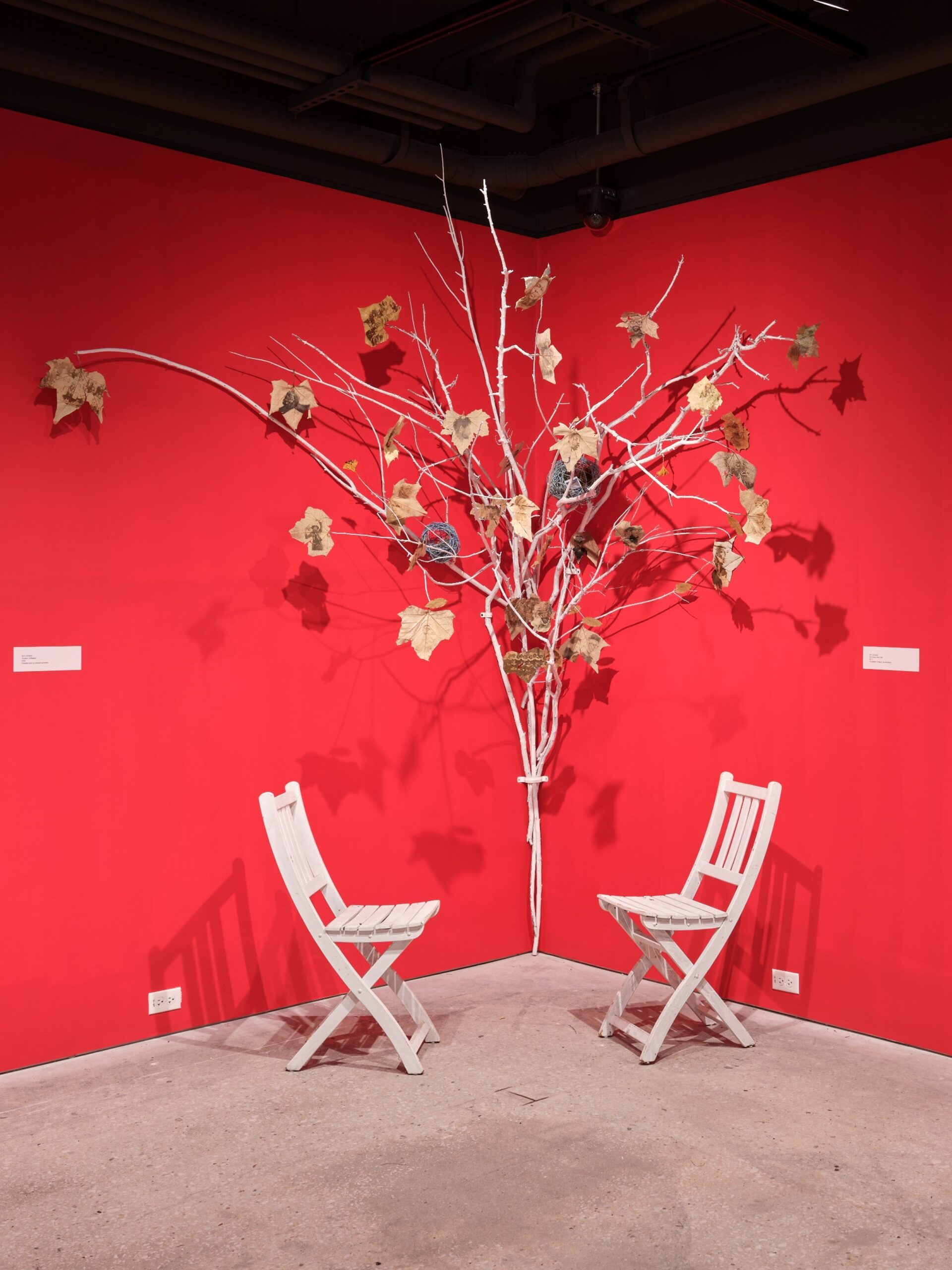 A tree composed of photo transfers on leaves and whitewashed Sycamore branches is installed in the corner of a room painted red with folding chairs beneath.