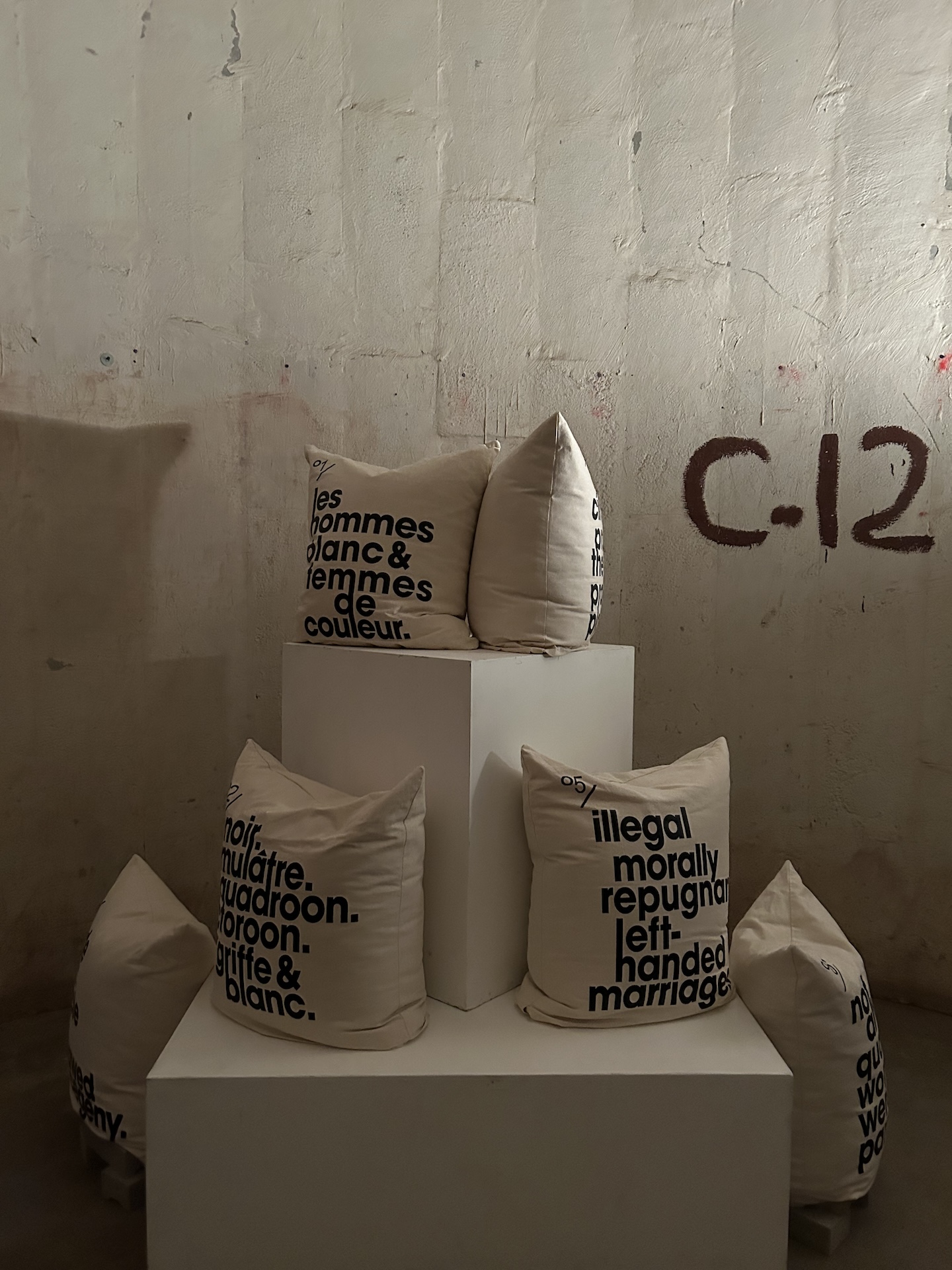 Pillows lay arranged in an industrial gallery space. Each pillow has six words describing the ethnicity, status, and/or physical attributes of a subject screenprinted on the canvas material.