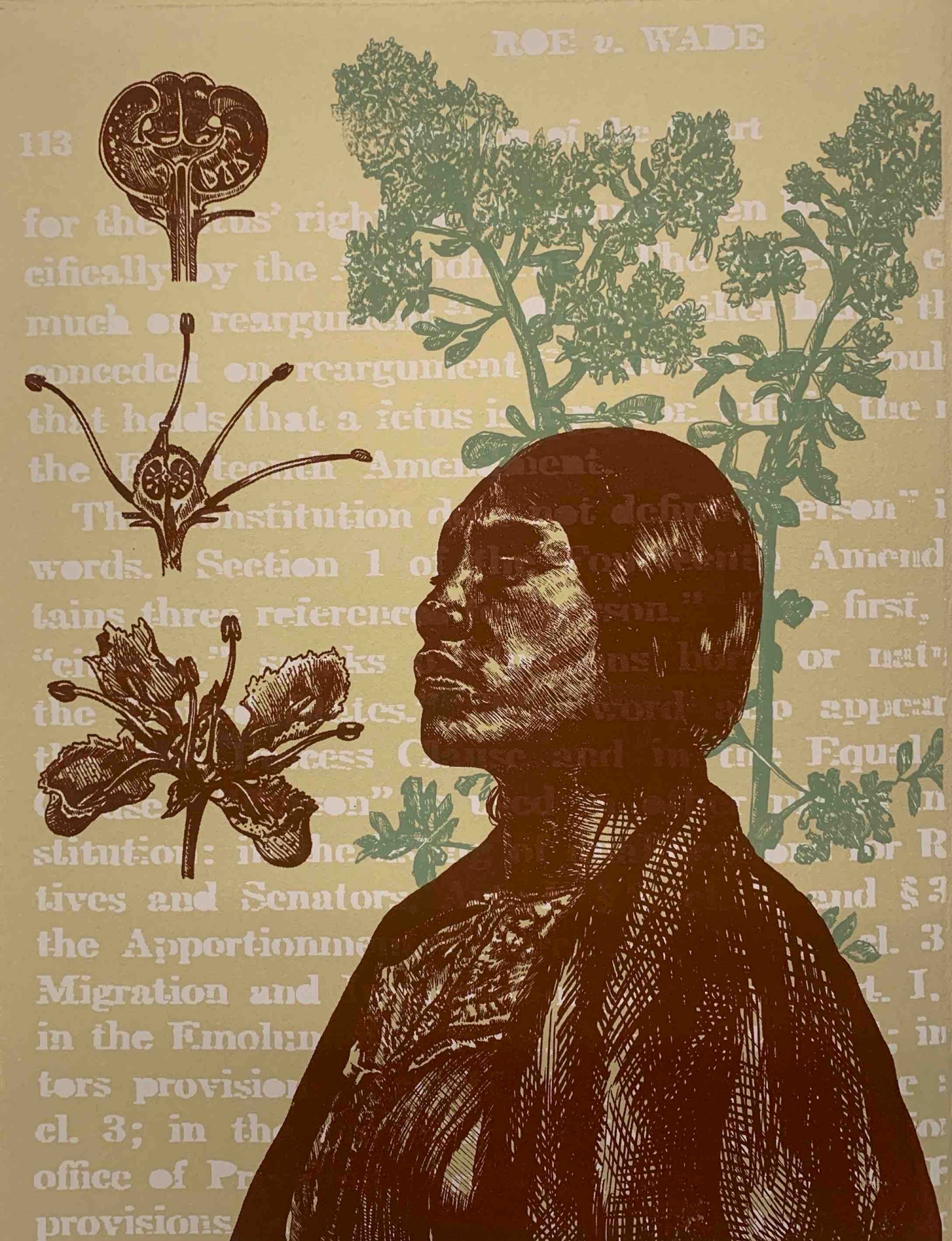 A figure in the foreground is surrounded by botanicals in the middle ground and text of Roe v. Wade behind.