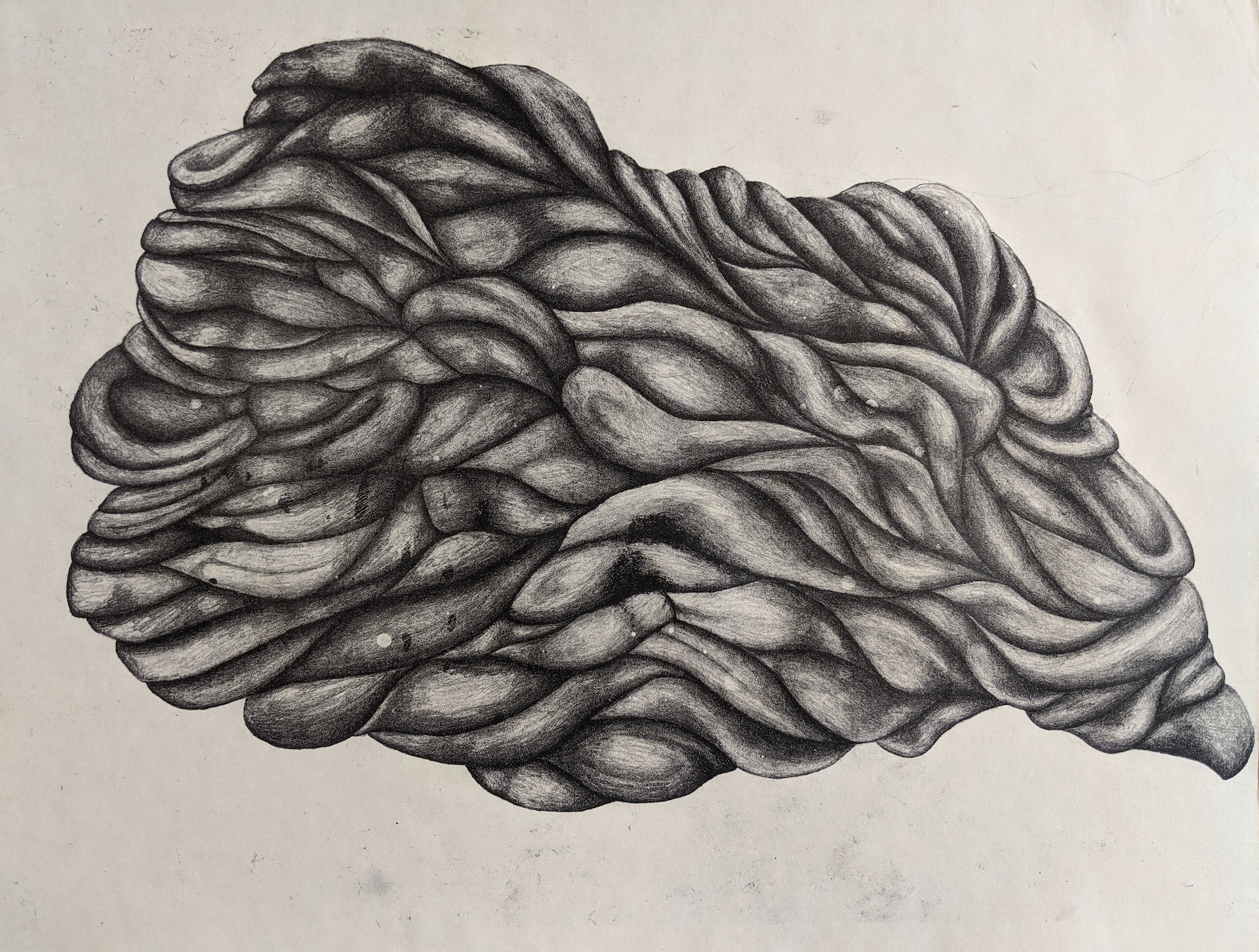 A biomorphic form composed of fleshy folds fills a neutral, empty background