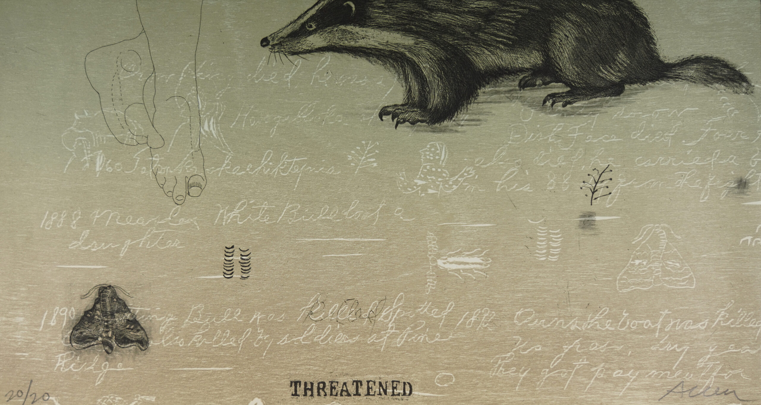 A badger and moth are accompanied by a line drawing of human feet in an etching in black ink that sits upon a beige woodcut background filled with text like a notebook or field guide in white.