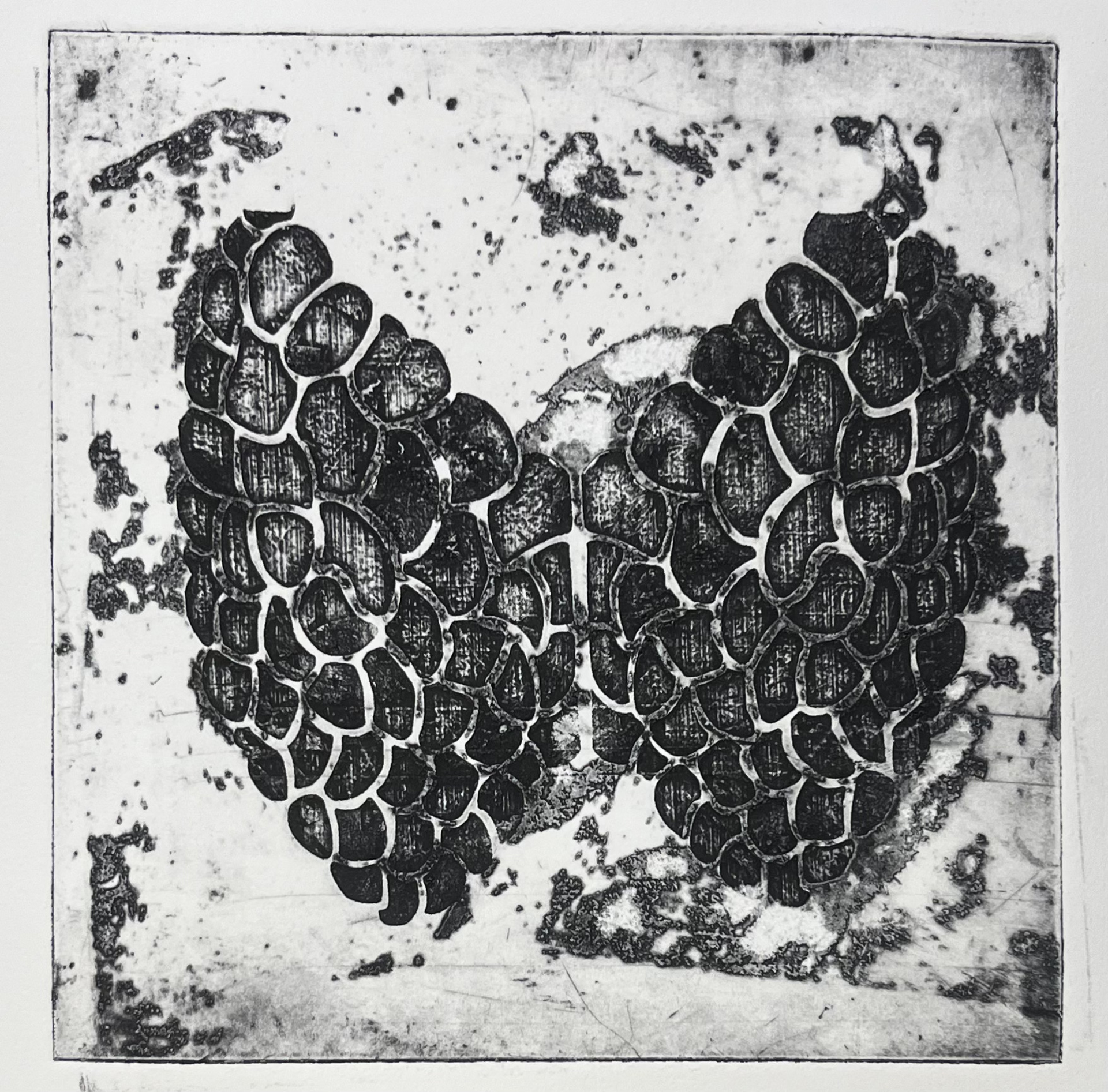 A netting pattern in the shape of upside down lungs printed in black sits in a gritty gray ground