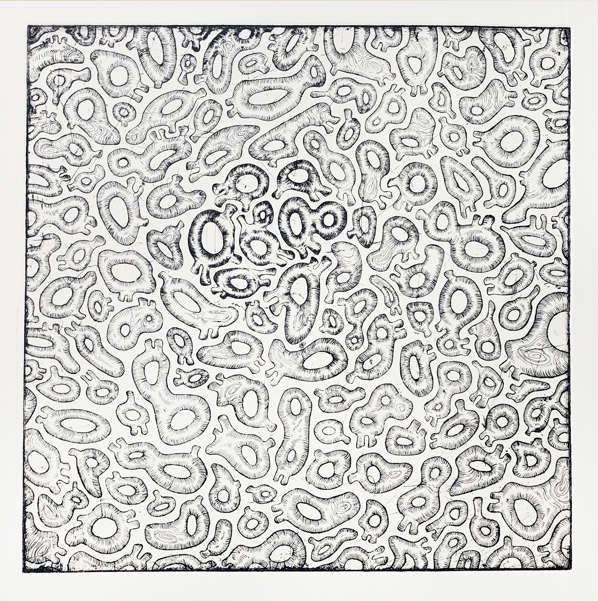 An intense mass of cell-like forms fill a square composition