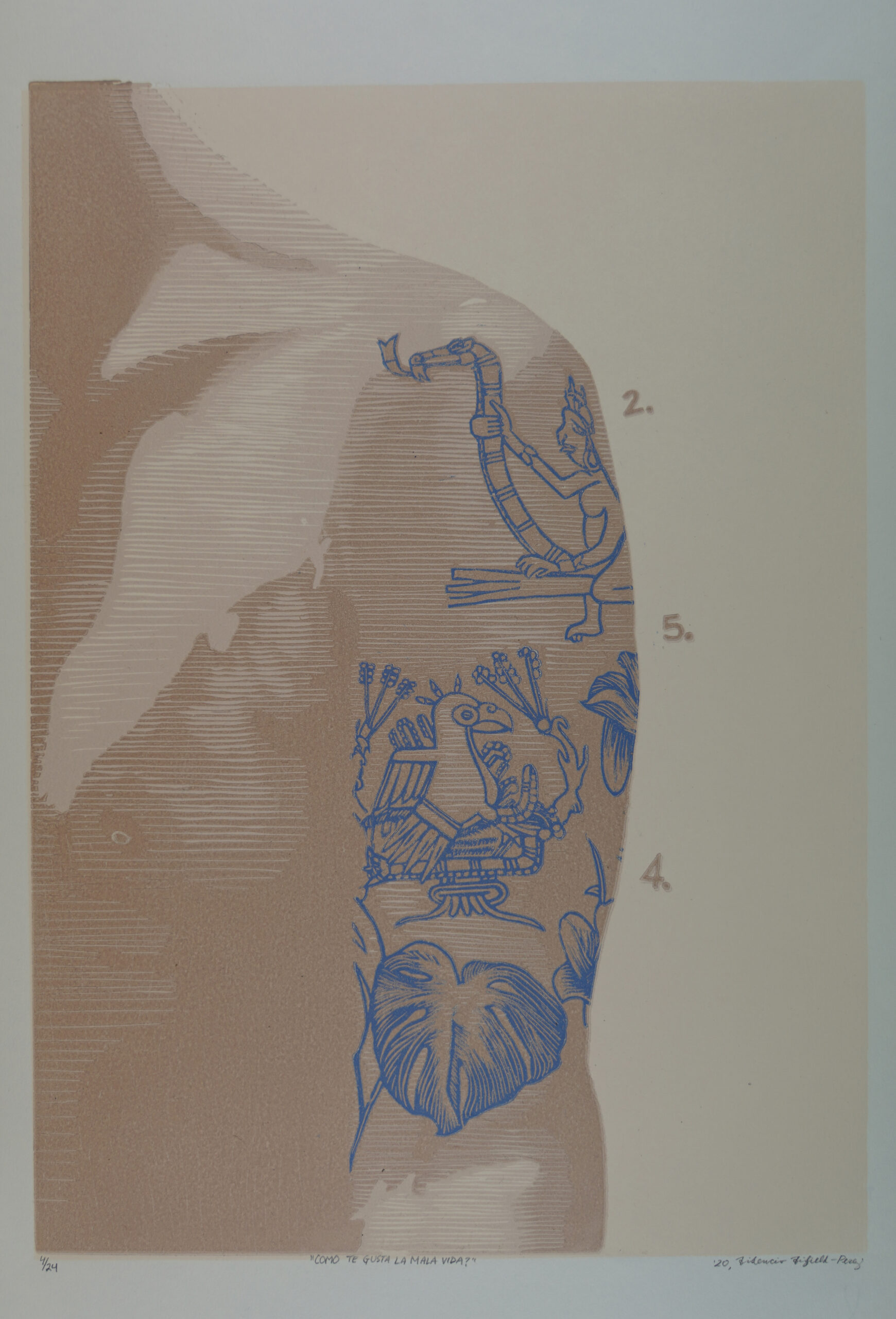 The left shoulder, upper arm, and chest of a figure rendered in layers of cream and brown populates this image. On the arm are tattoos in blue that reference Indigenous motifs of the Americas. The tattoos are labeled "2, 5, 4" implying a guide to their meaning.