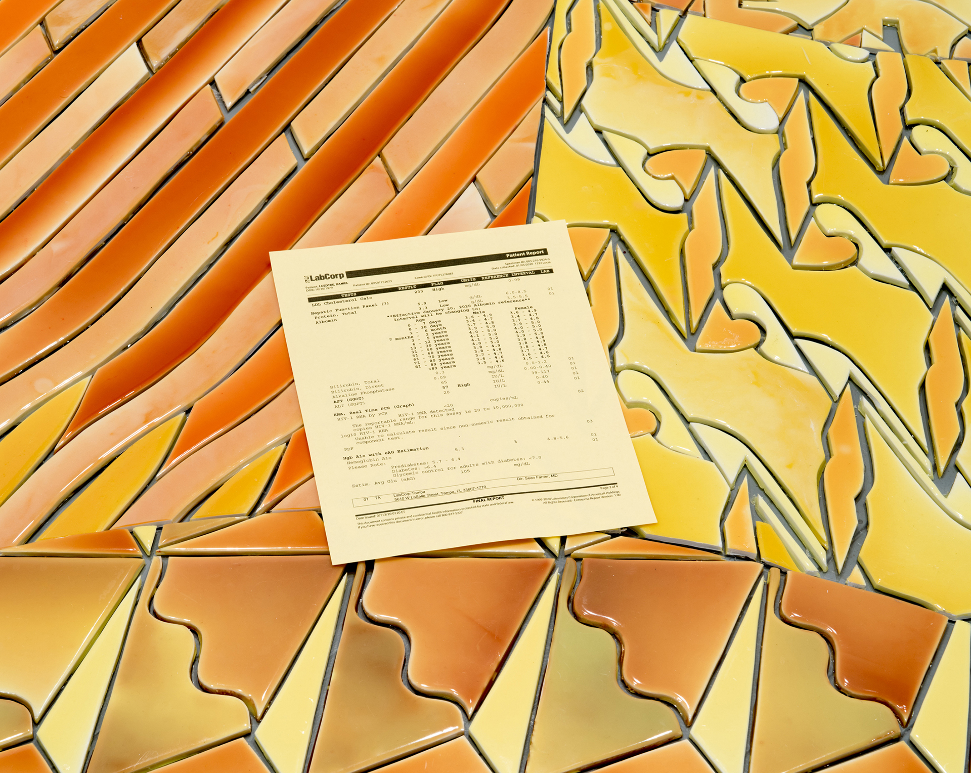 tile-like components in yellows and oranges create an abstract ground. Scattered atop the tiles are copies of the artists' blood and urine analysis.