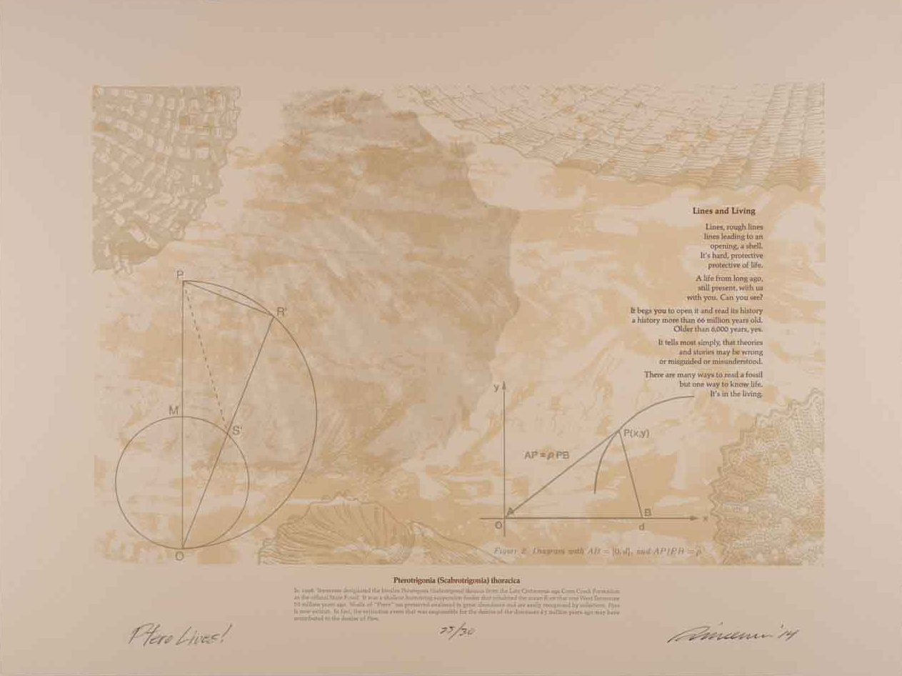 The text of a poem, biological explanation, and Fibonacci sequence diagrams sit upon layered images of sea shells in browns and grays.