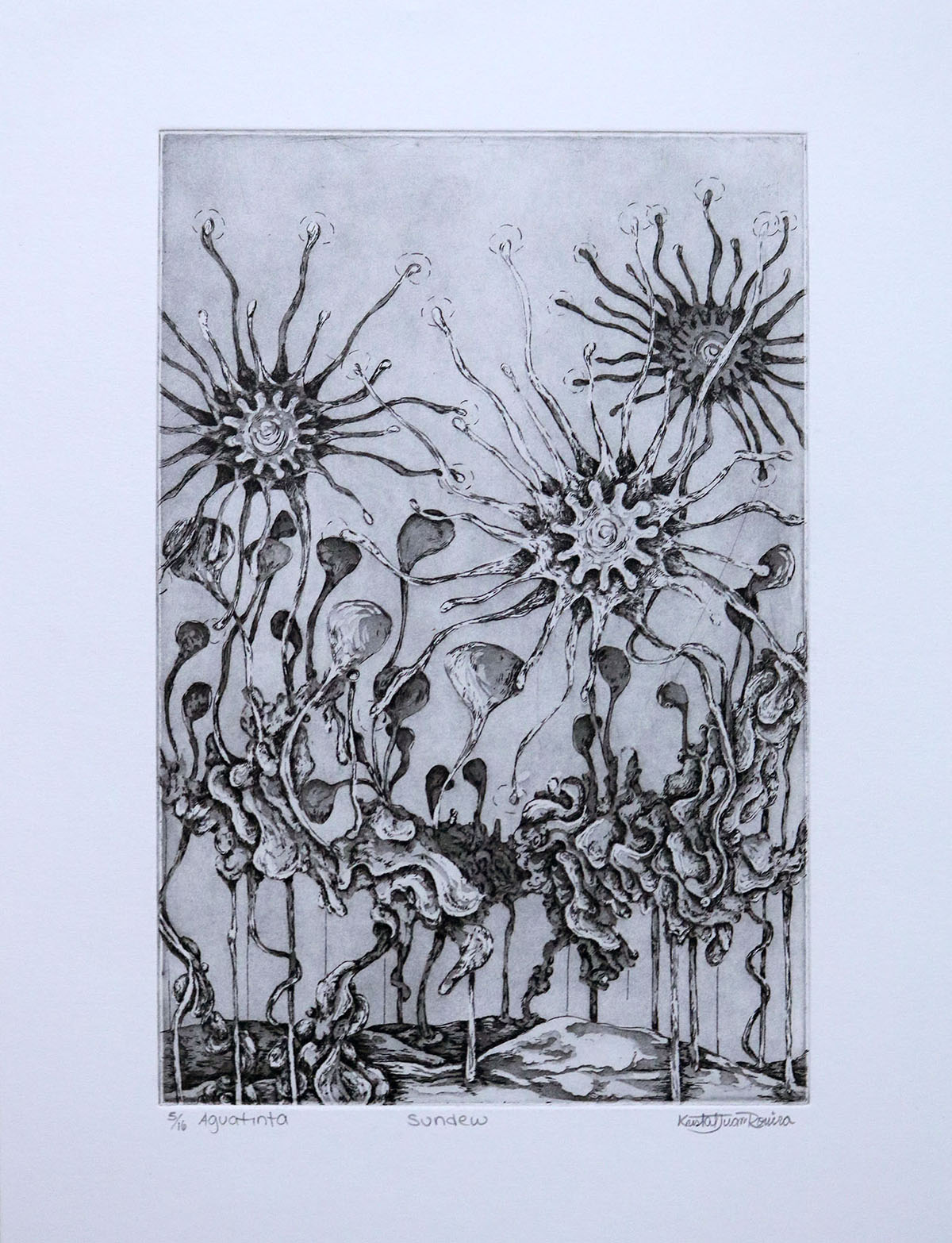 3.Juan_Kristal_ Sundew_Intaglio_2016 Intaglio ganglia and other biomorphic forms evoke a flower garden.