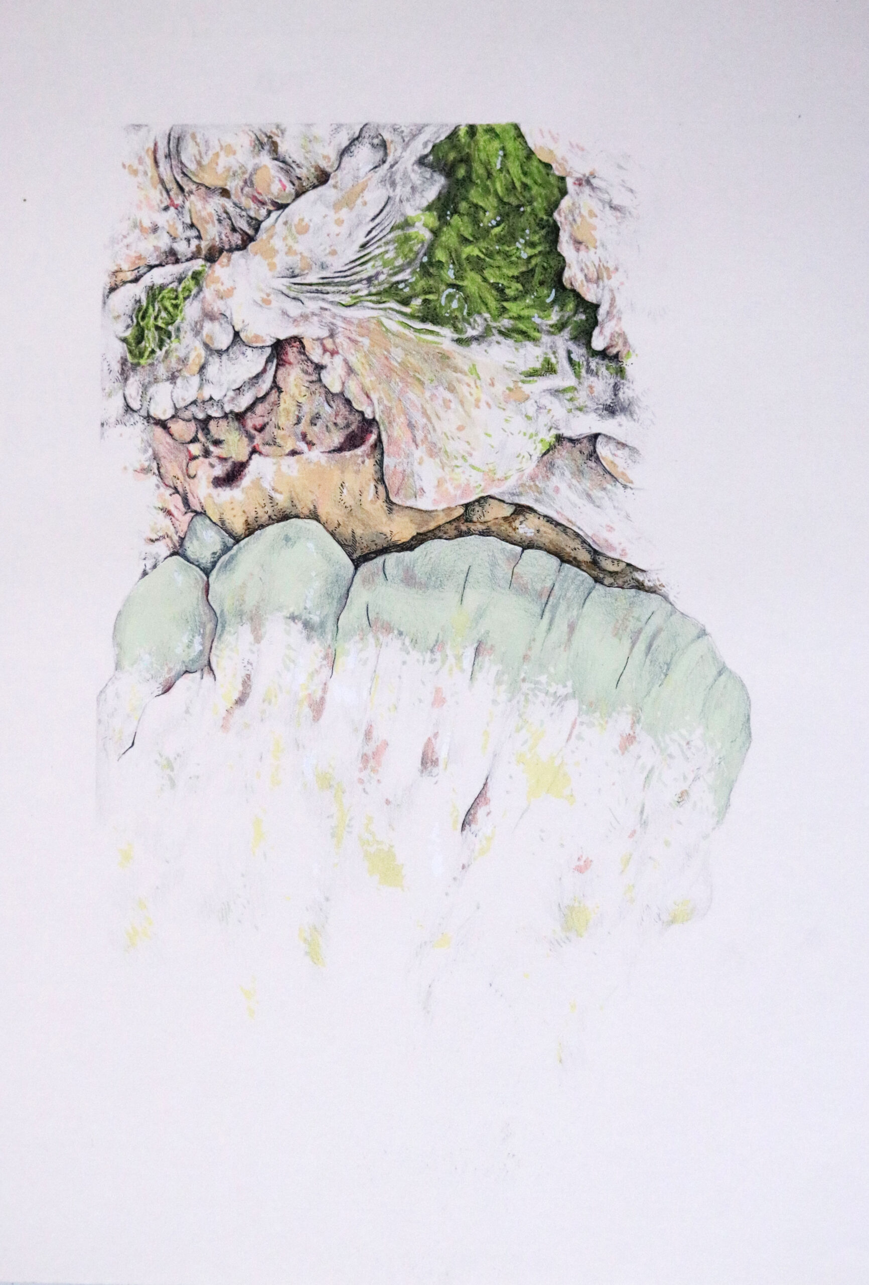 8 A subtle amalgam of natural, moss and stone like forms fade into the white of the page.