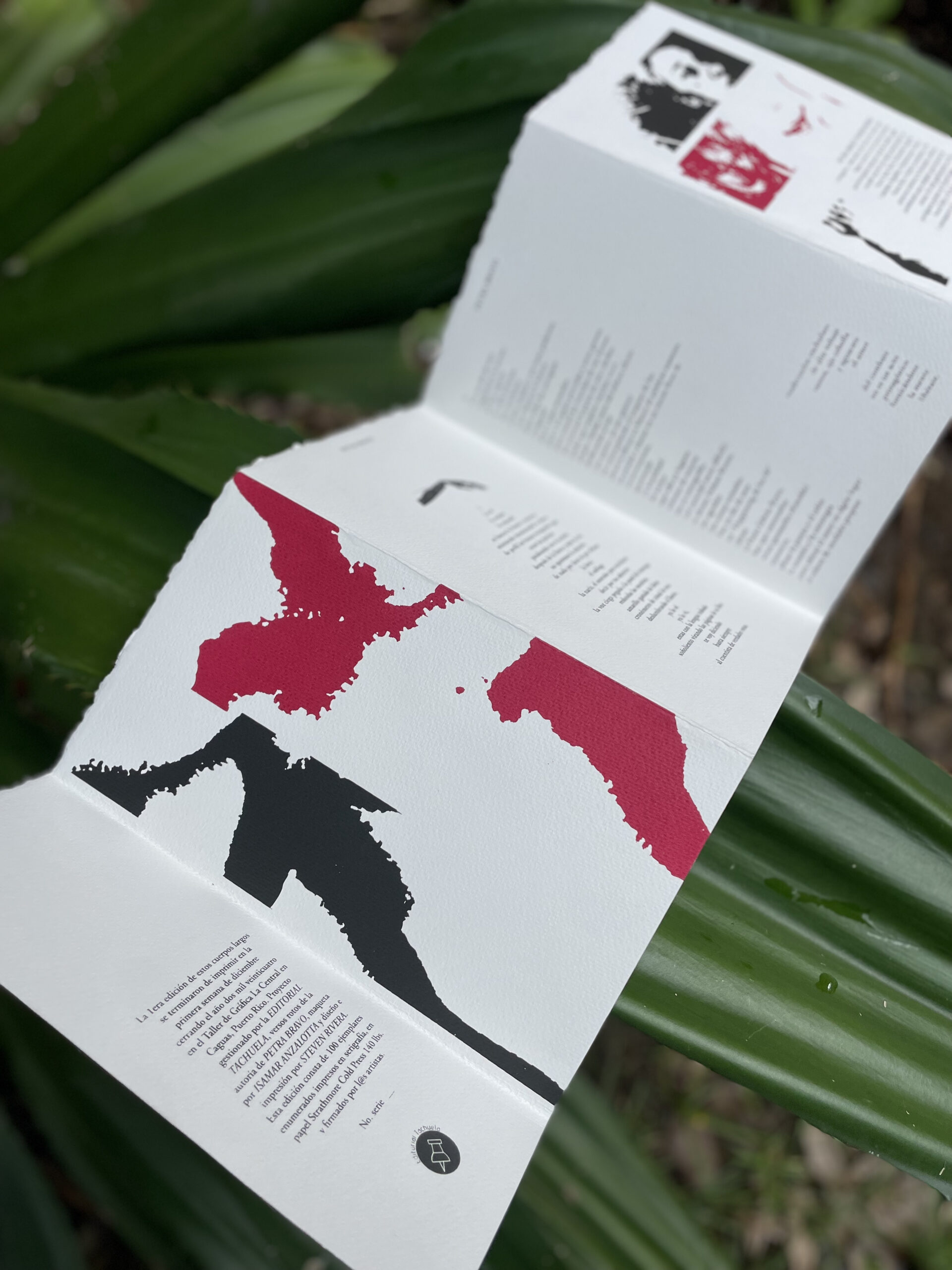 A brochure is spread out on leaves