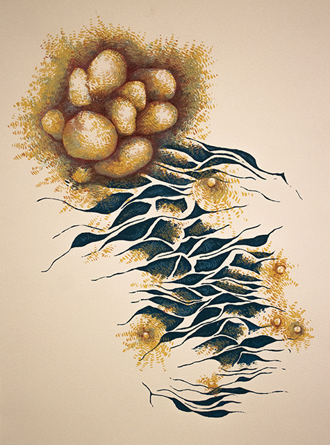 Estomago II A cluster of ocher stones or growths are interspersed among black ink "tears" as if through the paper.
