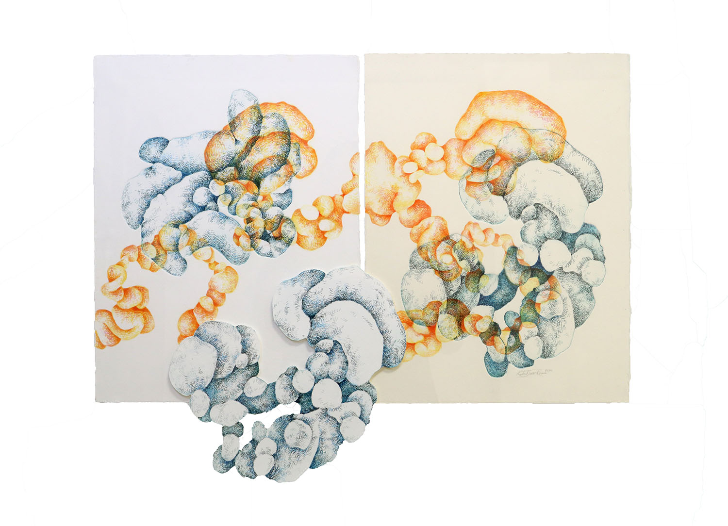 Juan, 23_x16_ Intaglio and watercolor, 2022 A cloud like mass of biomorphic knots in blue and orange overlap and entangle to fill and extend beyond the page.