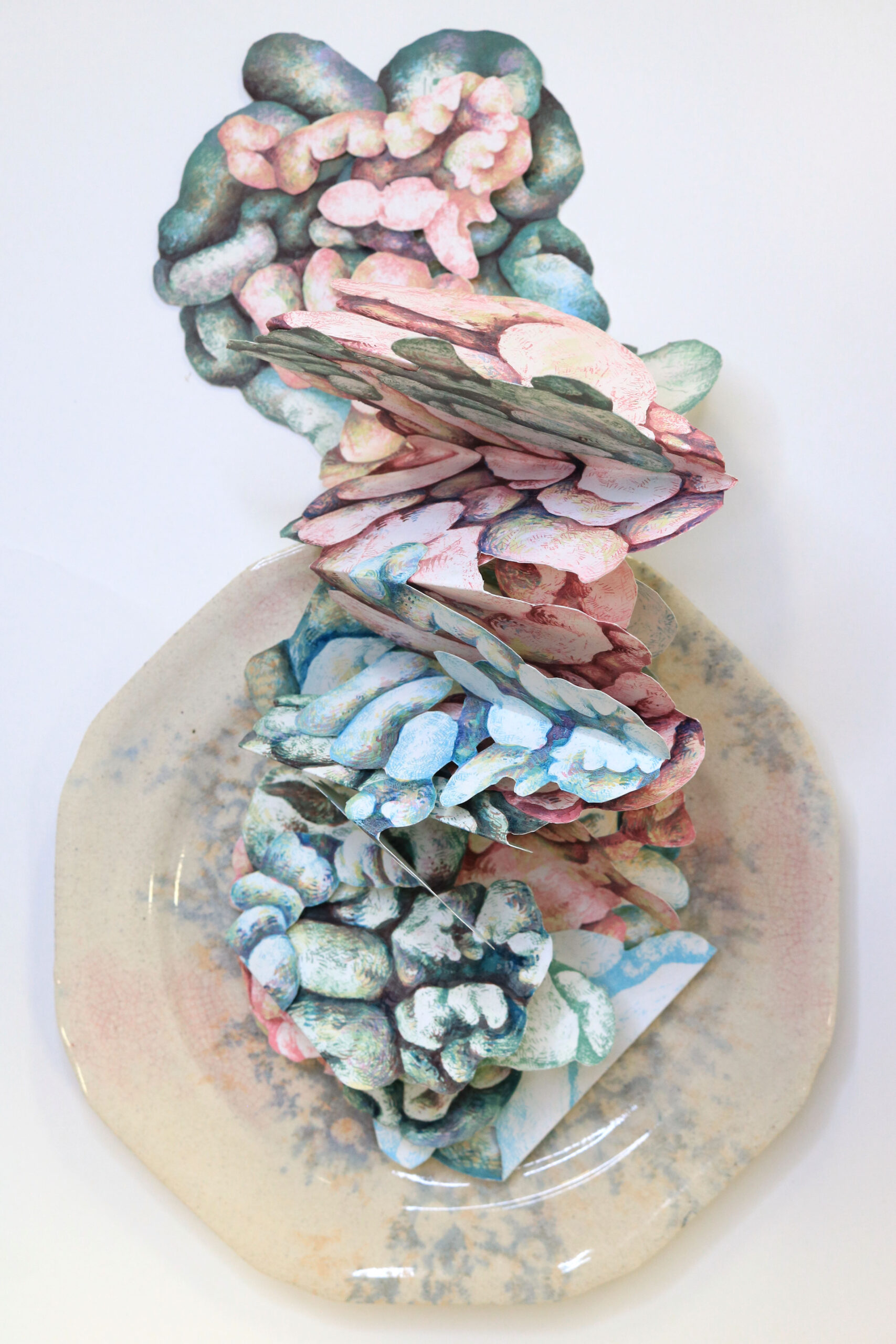 Juan, aprox 16_, Etching,screenprint, ceramic and watercolor, 2019 A complex accordion folded artist book composed of the entrails prints from the Abattoir installation unfolds from a China plate.