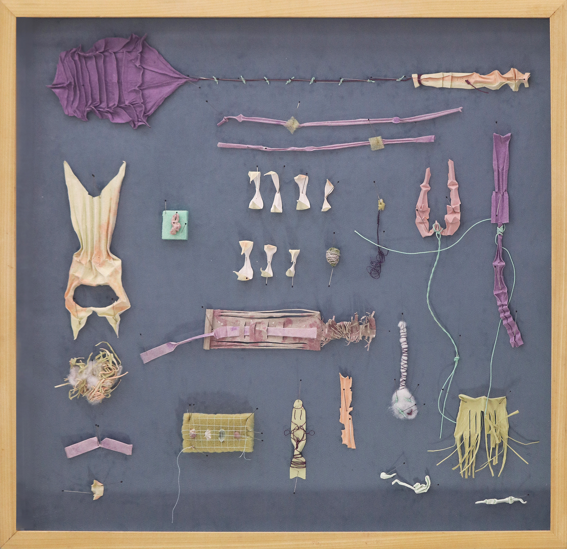 A shadow box frame is filled with small handmade items that are at once reminiscent of familiar home objects and extremely alien. Objects are composed of paper, cotton, and foam so they appear organic even when they seem fanciful.