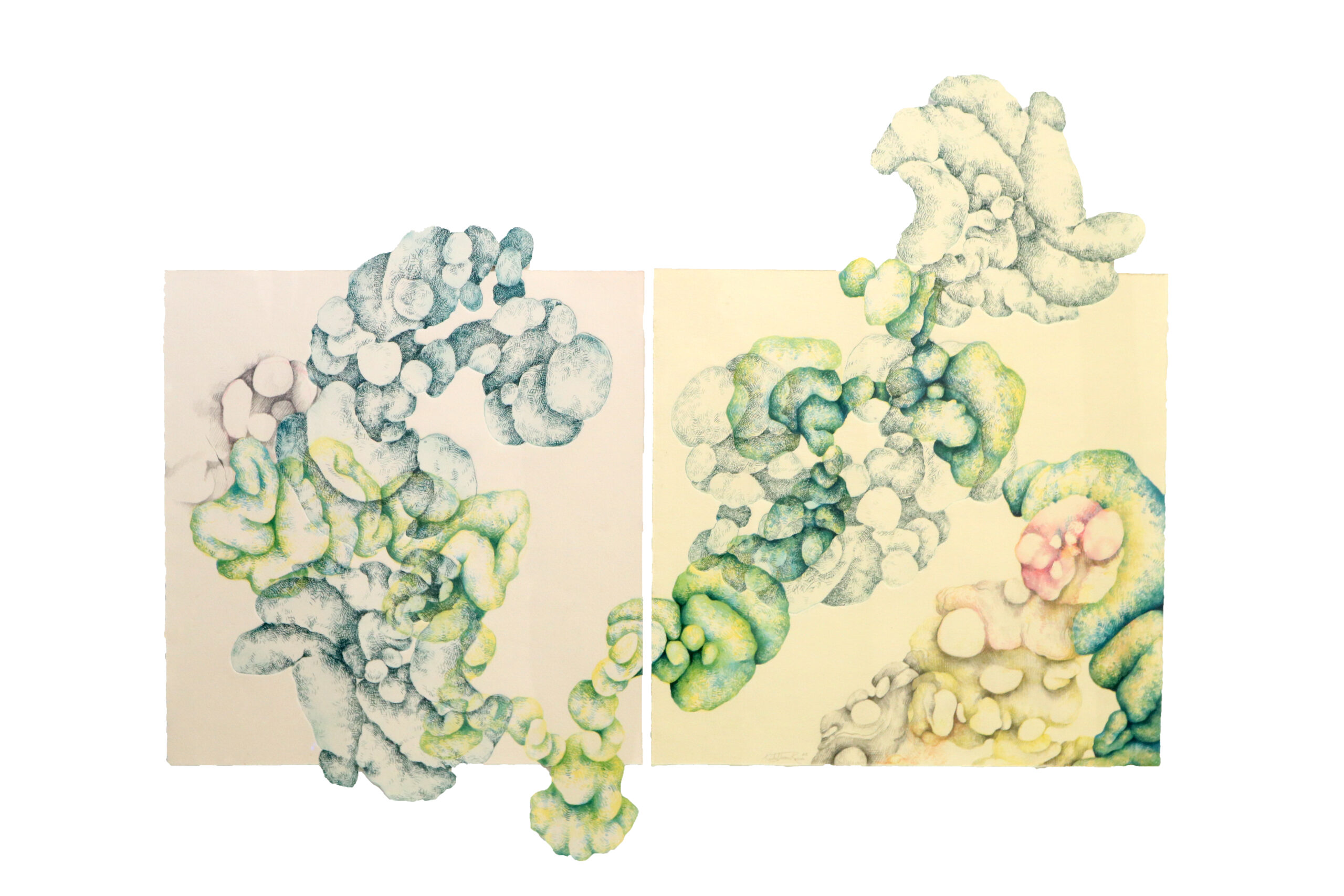 Reproduccion II A cloud like mass of biomorphic knots in blue, green, and pink overlap and entangle to fill and extend beyond the page.