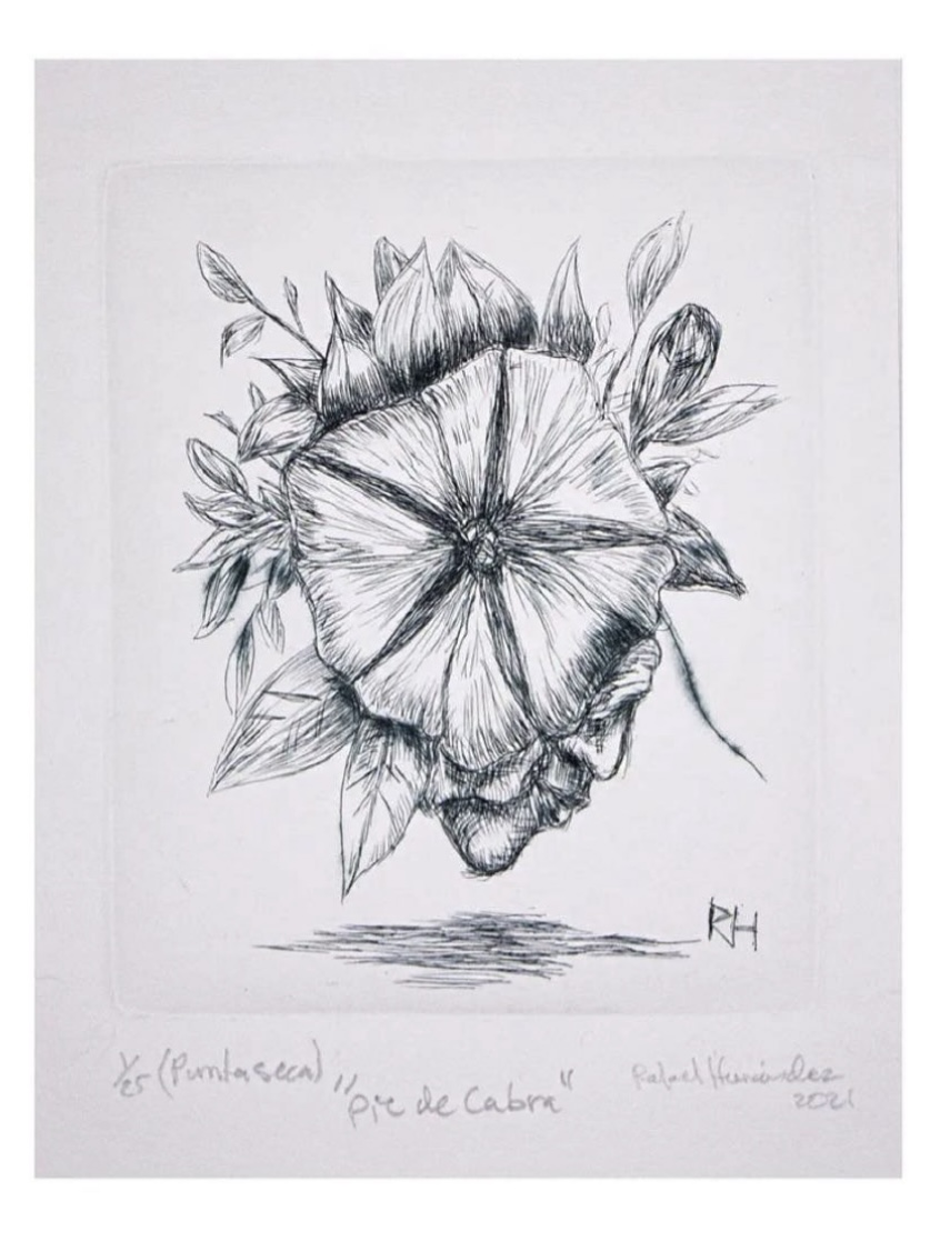 Screenshot a flower and surrounding foliage fill this small intaglio