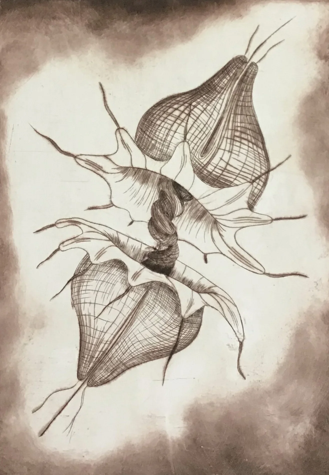 hernandez_rafael_8 A pod like form bursts forth exposing a coil of hair or root creating a diagonal composition