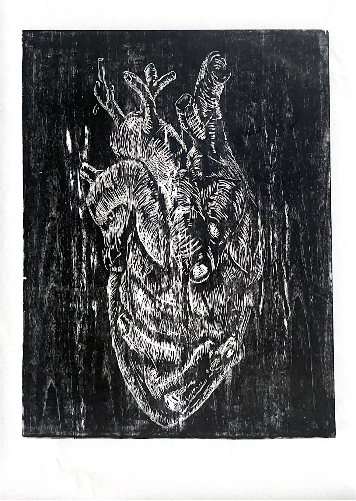 romansoto_sebastian_2 A woodcut of a human heard in black ink