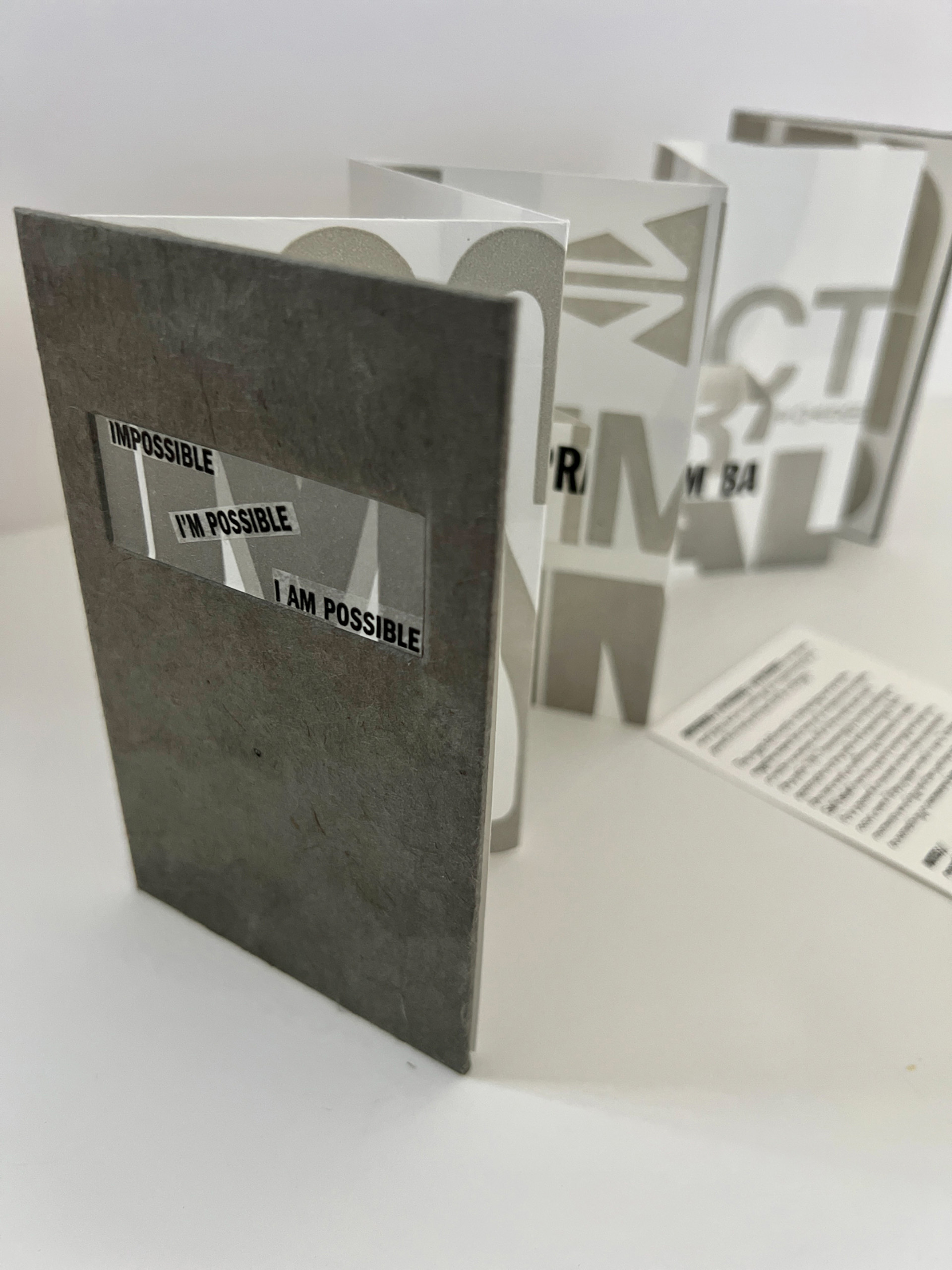 This print captures the invisible yet mounting pressures of war through the use of folded latex balloons as a matrix. As the forms explode under compression, ink is pushed outward—leaving behind magnified traces that resemble impact craters, shrapnel, or bursts. The resulting image becomes a symbolic battlefield, where material rupture echoes psychological fracture. The folds, the pressure, and the stains collectively visualize the unseen force of trauma and its imprint on both body and memory.