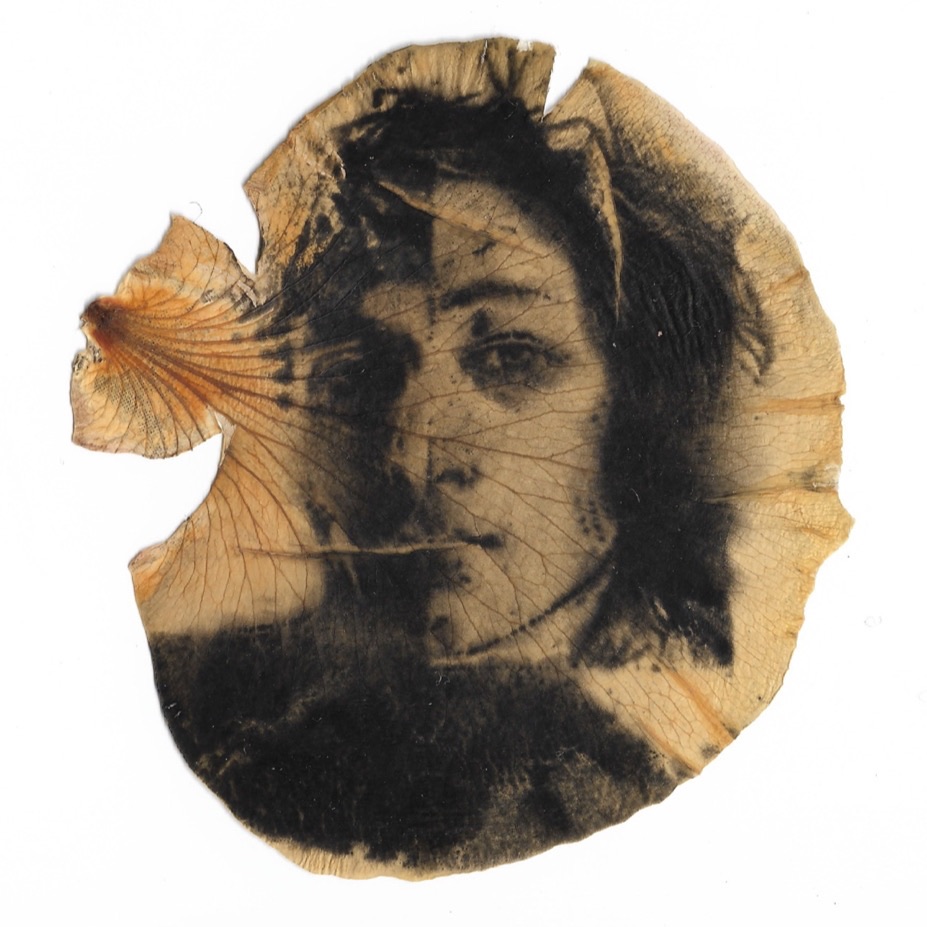 A quadriptych where each piece has its own plotter cut scribble atop a white sheet of BFK. Each shape is taken from previous work and scaled up. Each Mark is comprised of various shades of Fluorescent Pink, Fluorescent Blue, Purple and White.