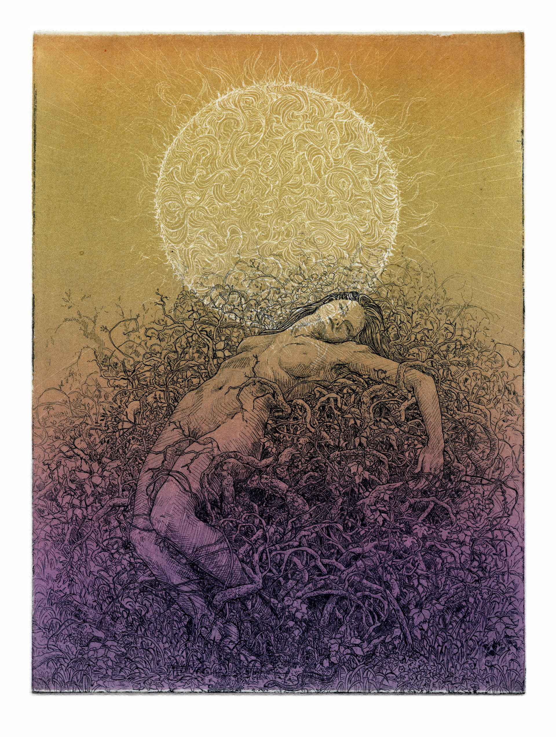 A nude woman reclines among brambles with a sun of complicated tendrils overhead