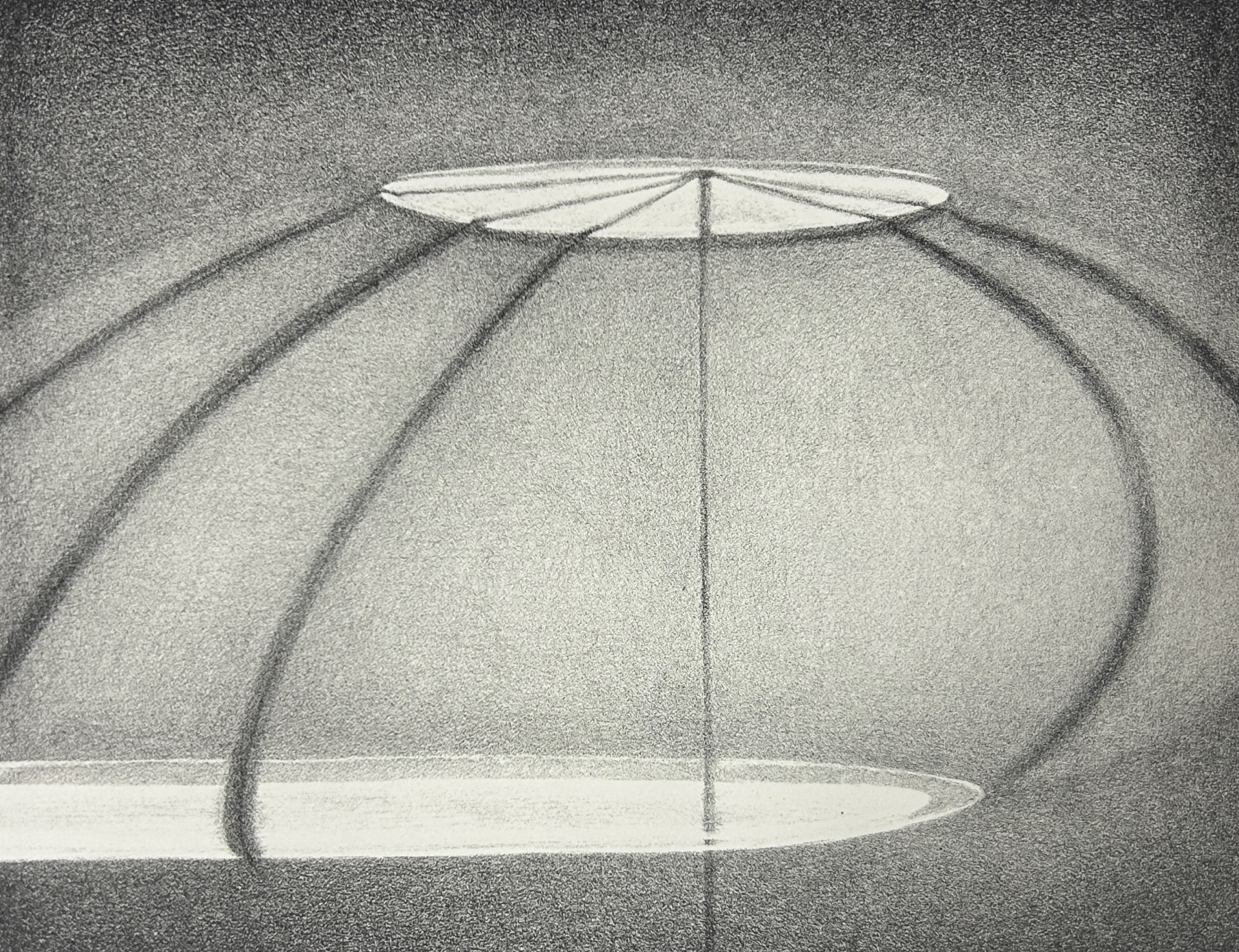 A shallow canopy with branching arms fills and illuminates a moody dark space