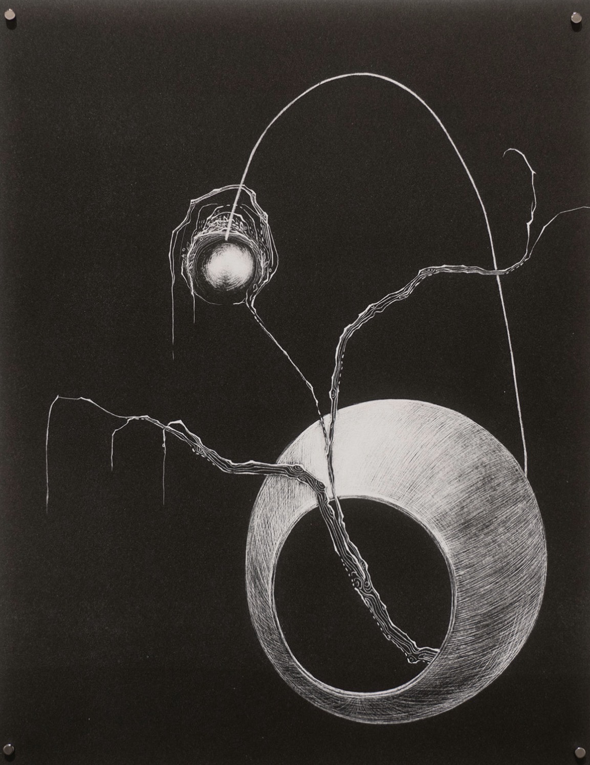 A branch emerges from a shallow funnel in a black space. A stalk comes from the back of the funnel with a ball hanging on the end among the branch