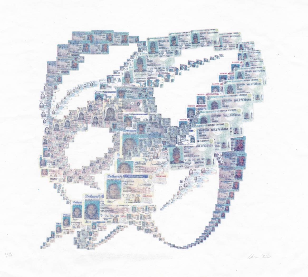 A knot composed of hundreds of drivers licenses creating deep space